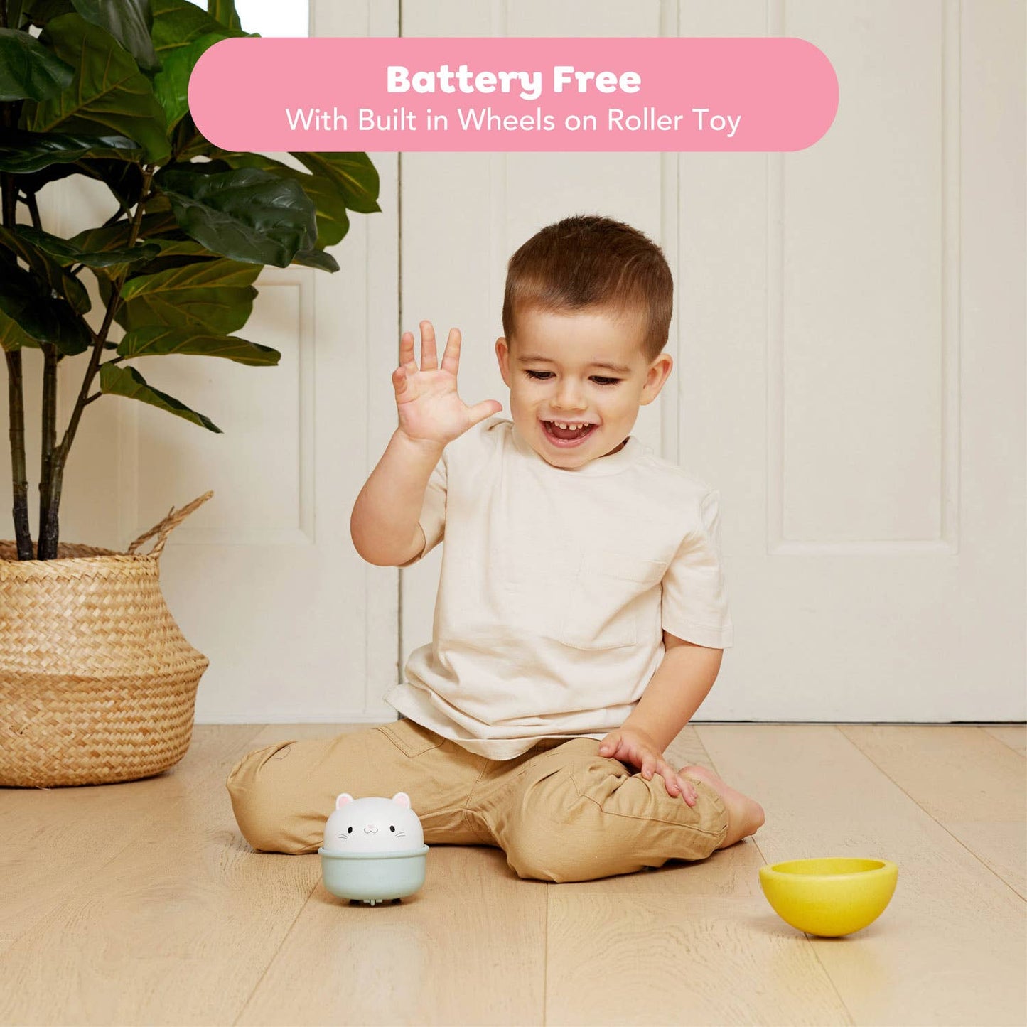 Rocking Rollers - Cat