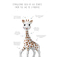 Sophie La Girafe White Box- Classic