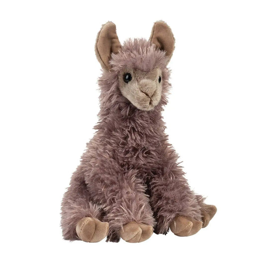Josie the Llama