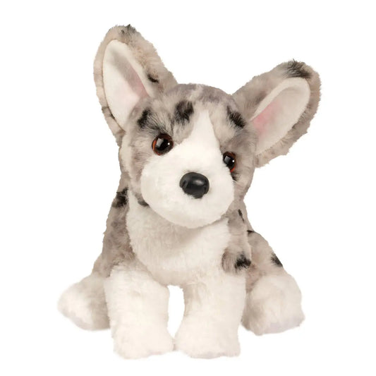 Codie the Corgi