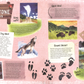 Explore! America's National Parks