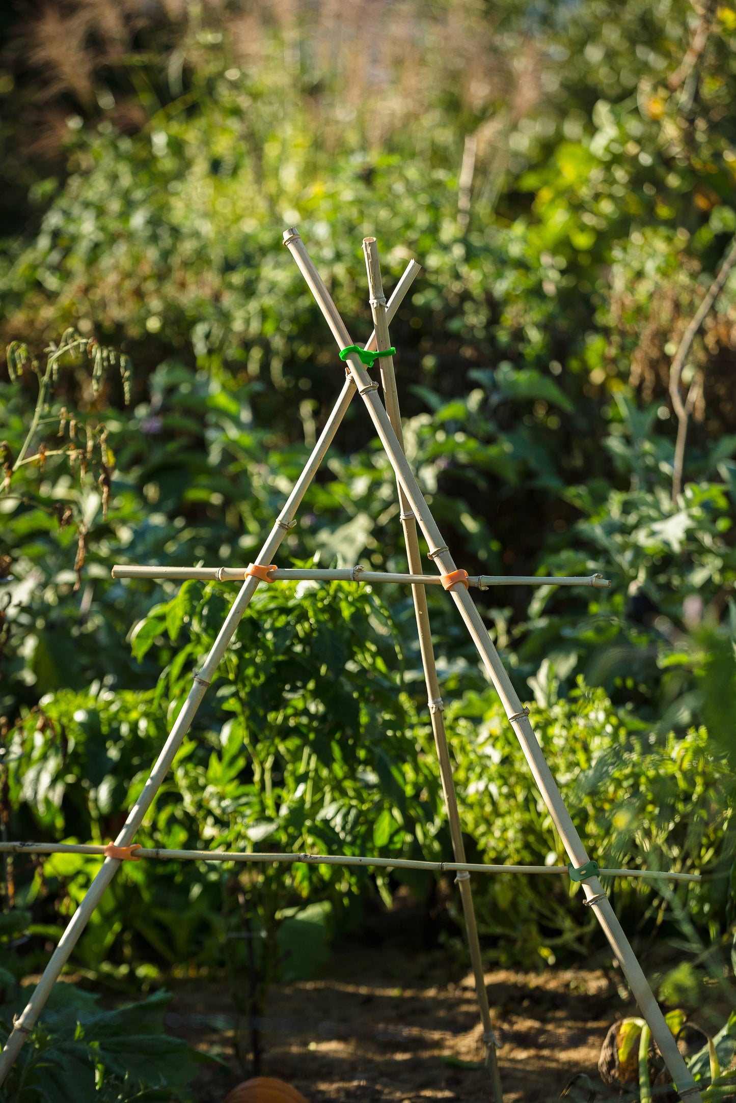 20-Piece Garden Set