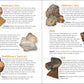 Rock Collecting for Kids