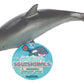 Ocean Squishimals, Sharks, Dolphins, Squishy Toy