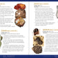 Rock Collecting for Kids