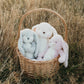Little 12" Nibble Bunny - Pink