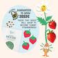 Paint & Grow- Strawberry