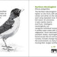 Pacific Coast Bird Finder 2e