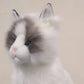 Plush Cat- Ragdoll Kitten Plush Animal