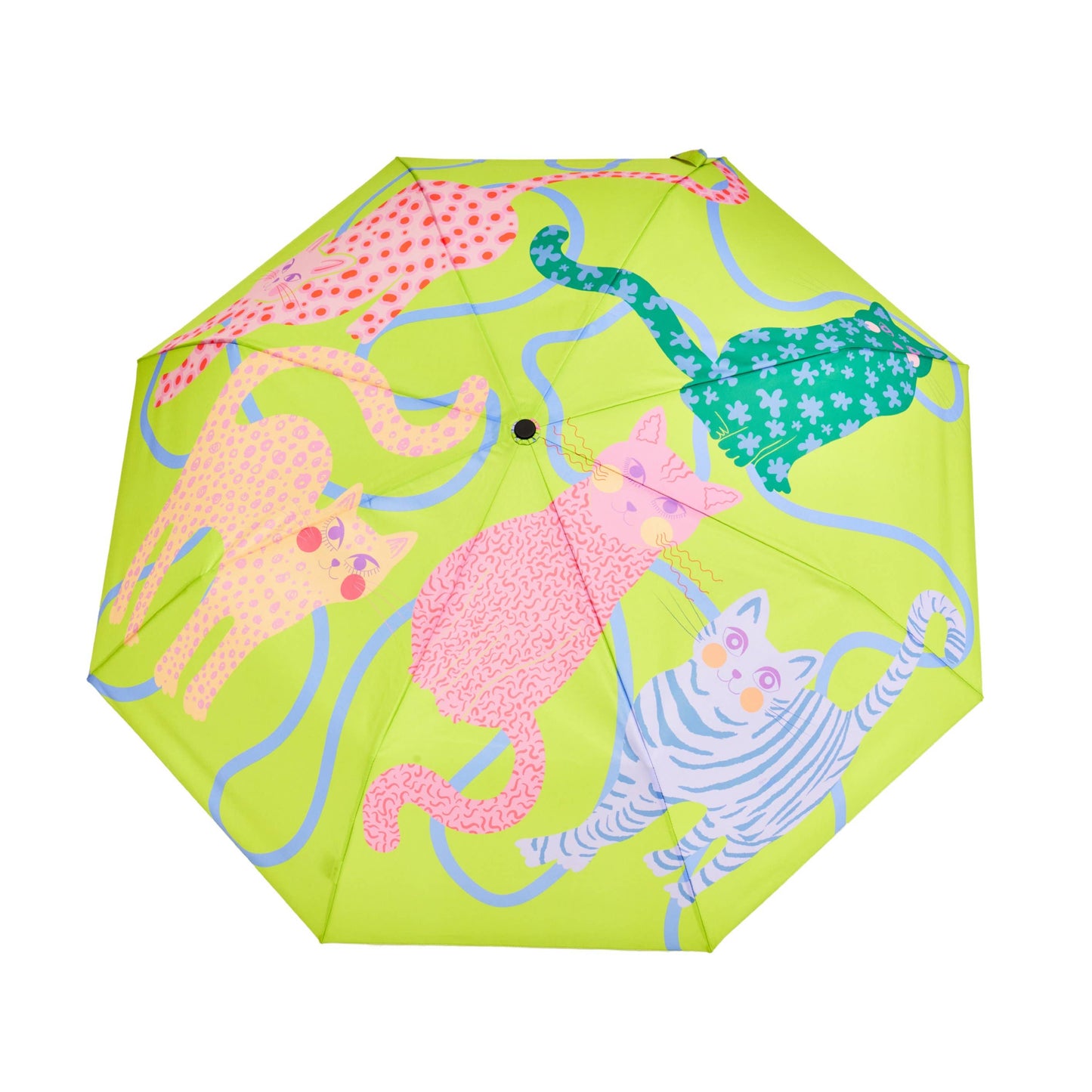 New! Multipack - Fuchsia/Lime/Ice Arty Cats Duck Umbrellas