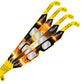 Solar Eclipse Glasses