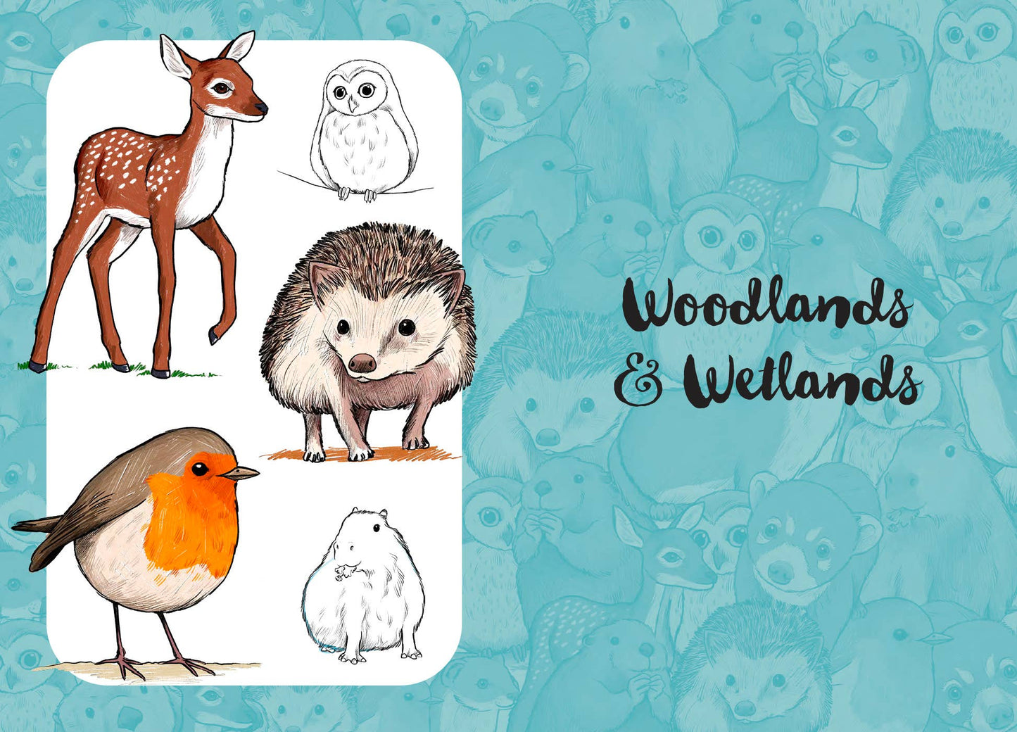 10 Step Drawing: Cute Animals