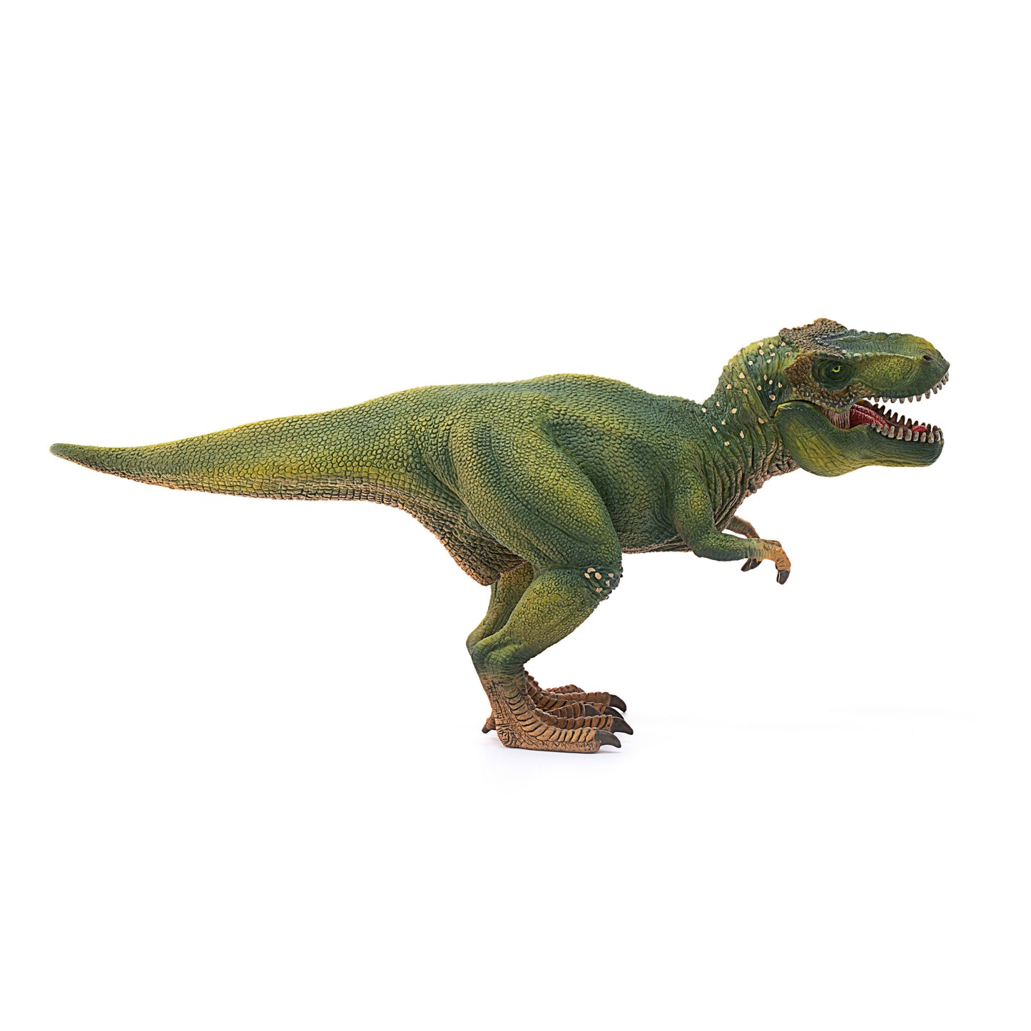 Tyrannosaurus Rex Dinosaur Toy with Movable Jaw