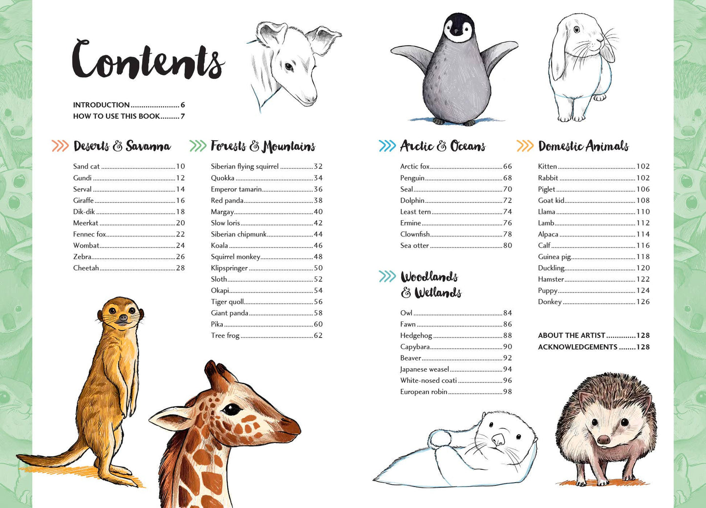 10 Step Drawing: Cute Animals