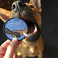 Friend to Strays Patch