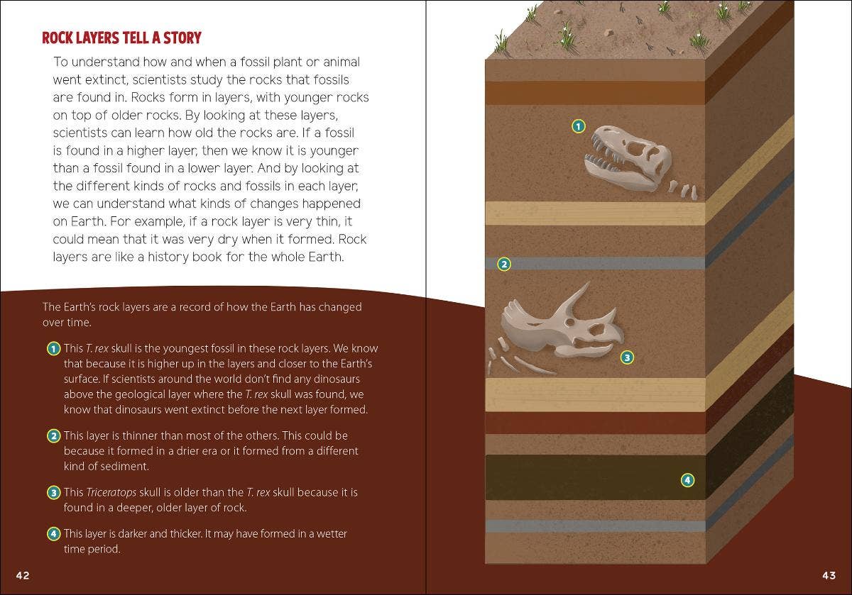Fossils for Kids