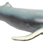 Ocean Squishimals, Sharks, Dolphins, Squishy Toy