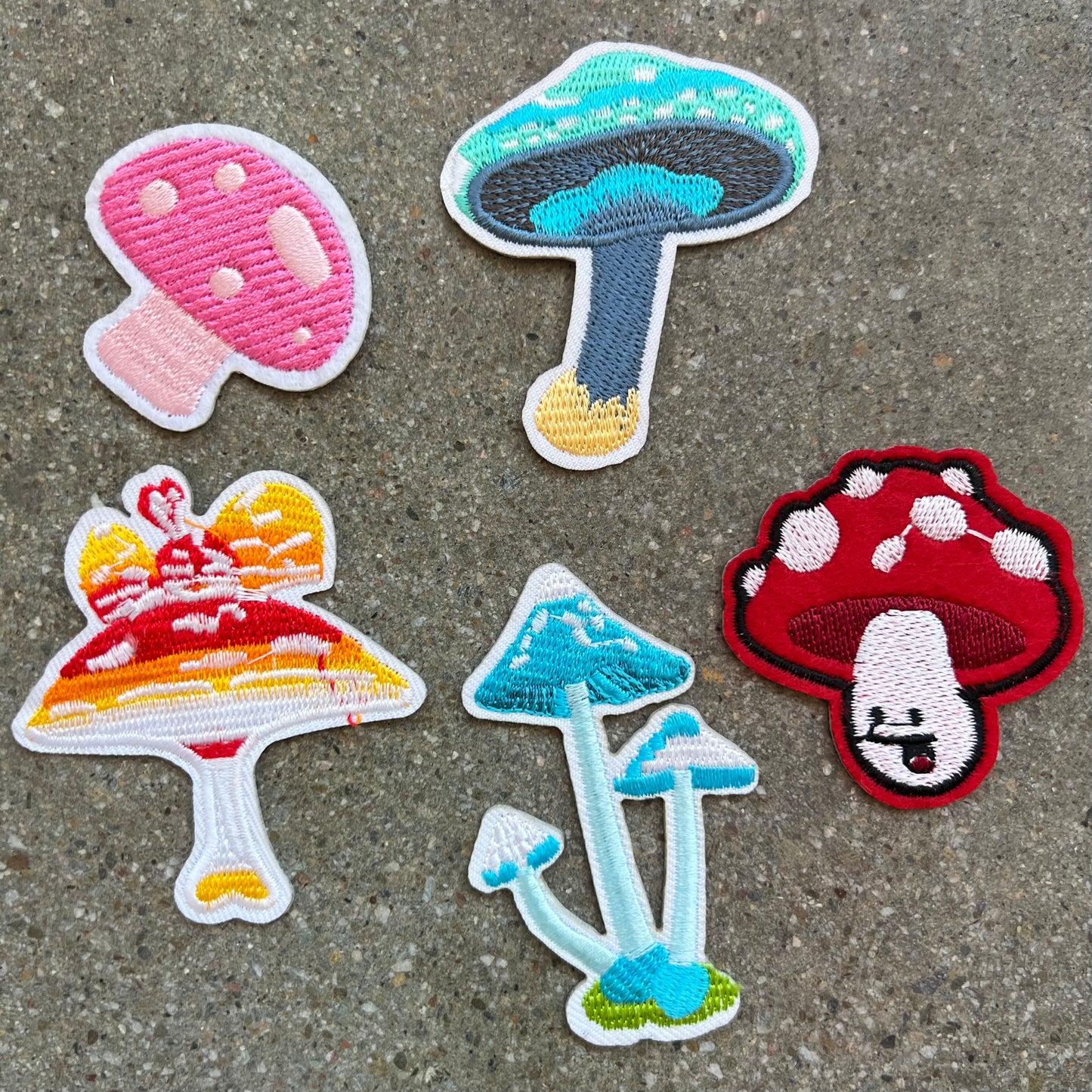 Mushroom Variety Pack of Patches