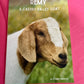 Remy - A Castro Valley Goat