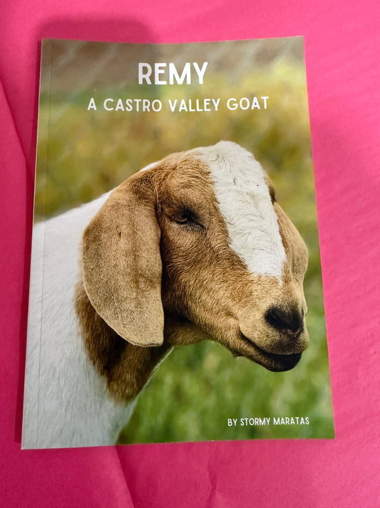 Remy - A Castro Valley Goat