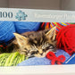 Wool Cat 100 Piece Puzzle