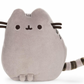 Pusheen Squisheen Sitting Pose