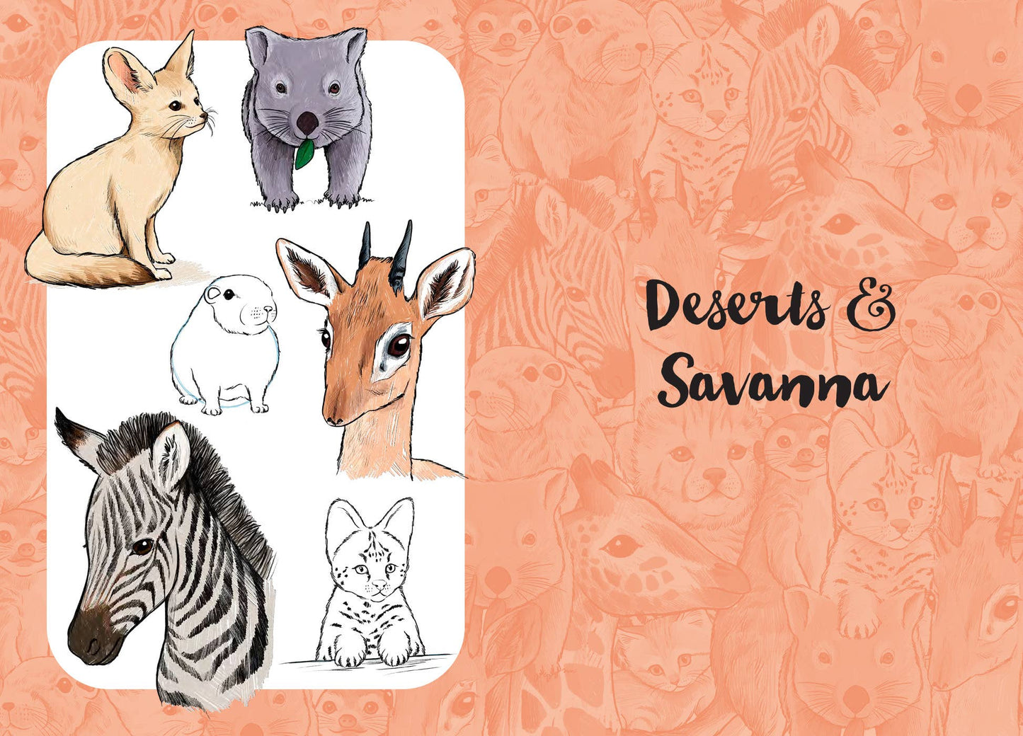 10 Step Drawing: Cute Animals