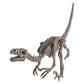 KidzLabs /Dig A Dinosaur Skeleton/Velociraptor