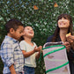 Original Butterfly Garden® Growing Kit with Voucher