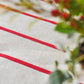 Red Striped Tablecloth