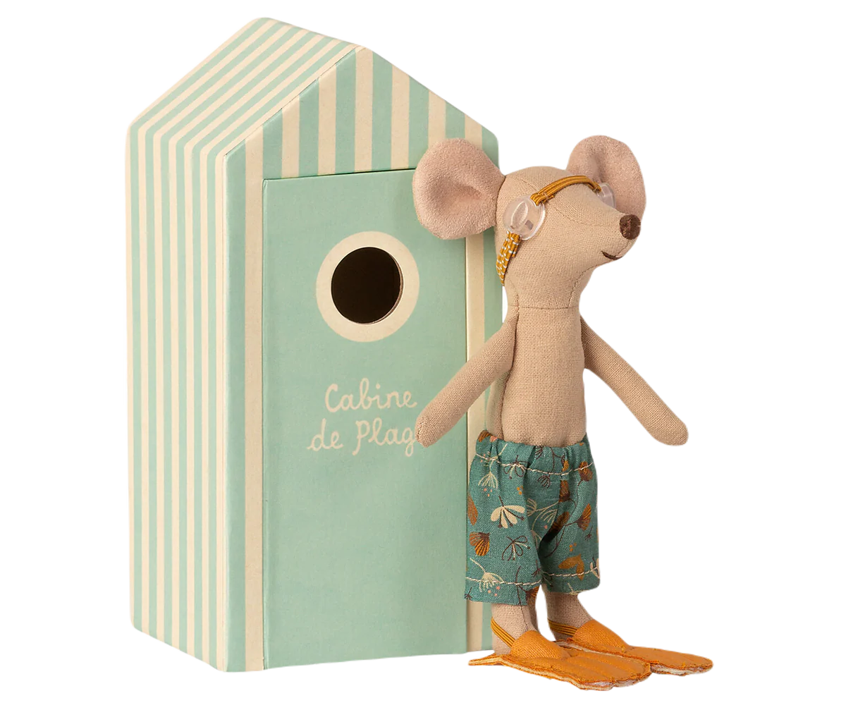 Big brother in cabin de plage