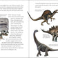 Fossils for Kids