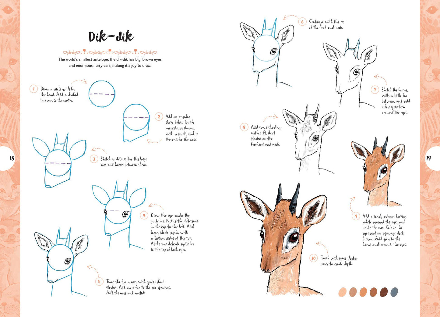 10 Step Drawing: Cute Animals