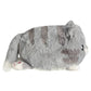 Mini Squishable Grey Kitty