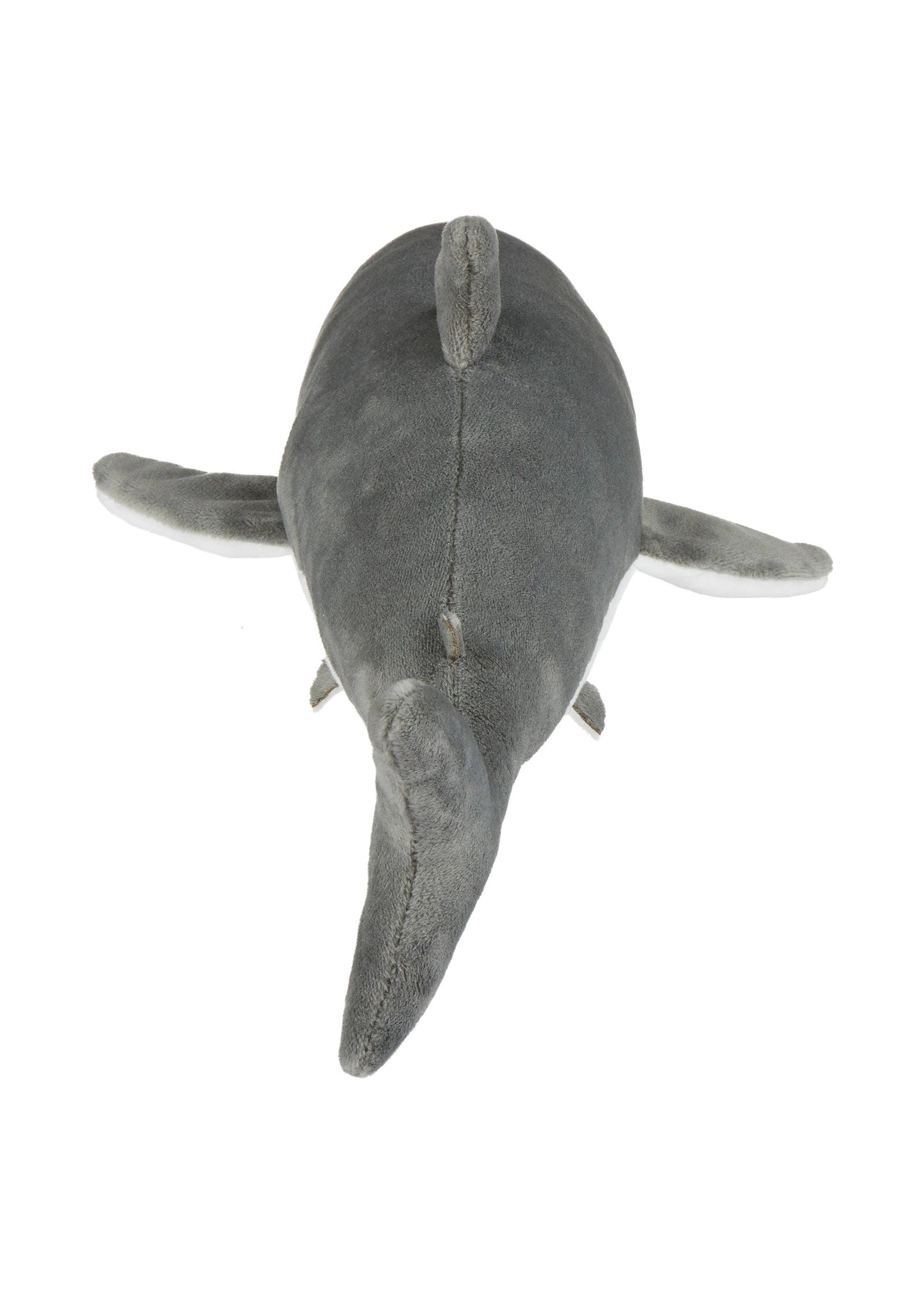 Great White Shark