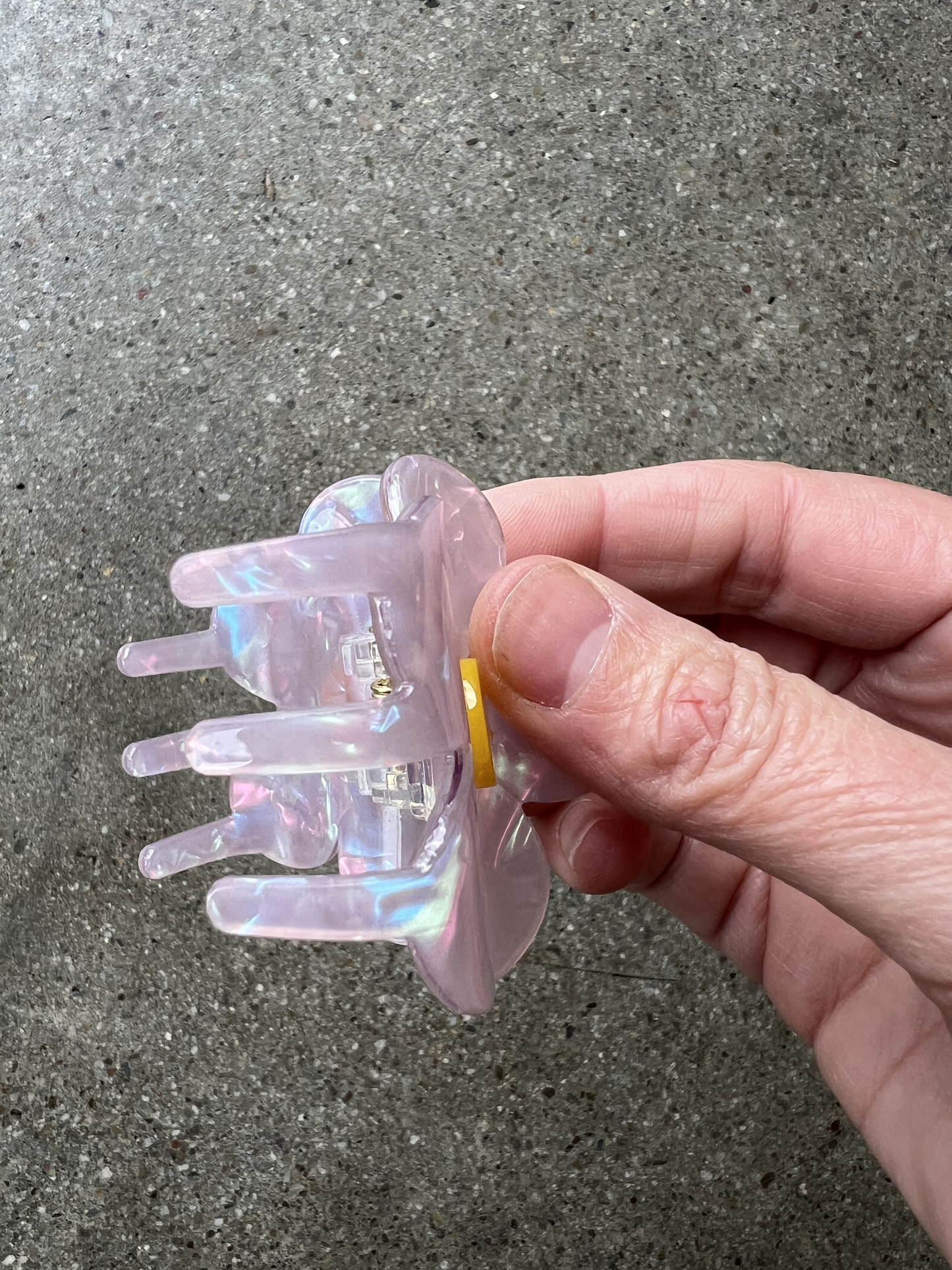 Daisy Claw Clips