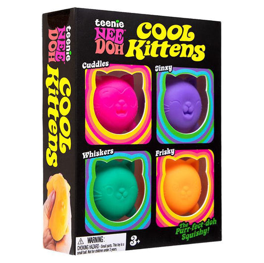 NeeDoh Teenie Cool Cats 4-pack