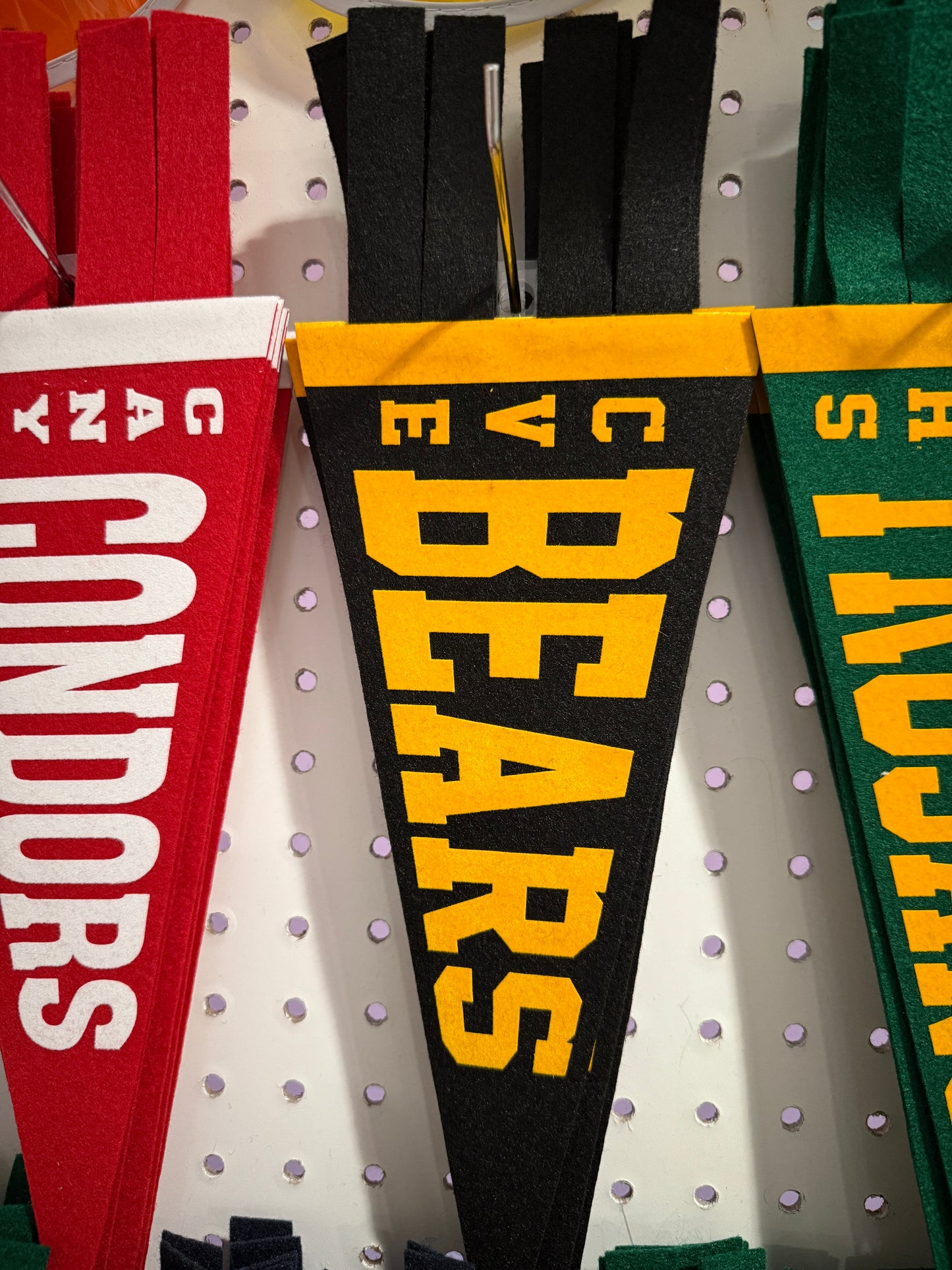 Castro Valley Elementary Pennant