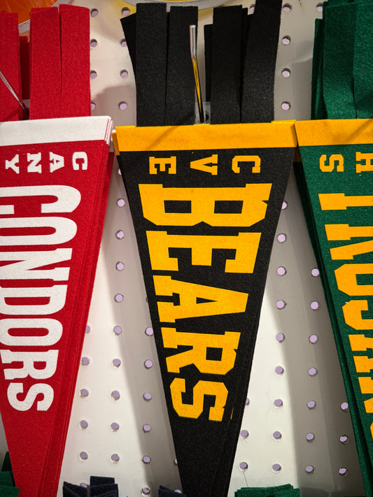 Castro Valley Elementary Pennant