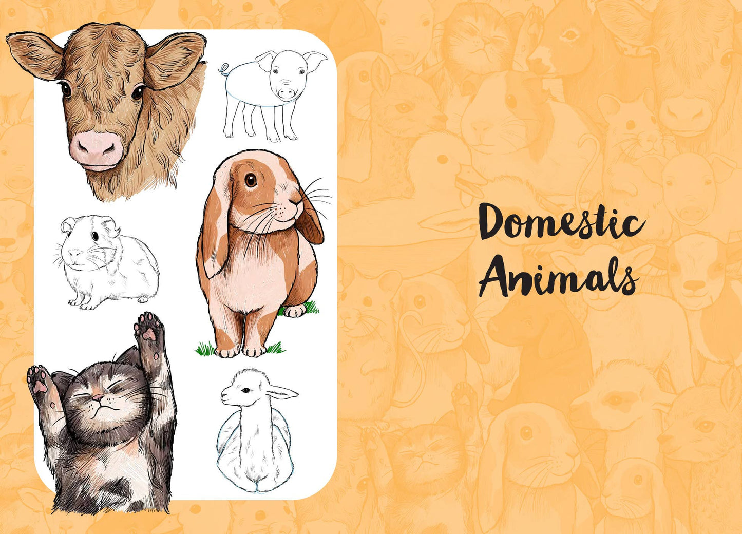 10 Step Drawing: Cute Animals