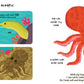 Touch and Explore: The Ocean