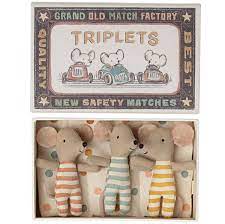 Baby Triplet Mice in matchbox