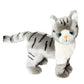 Galaxy Plush Cat Stuffed Animal