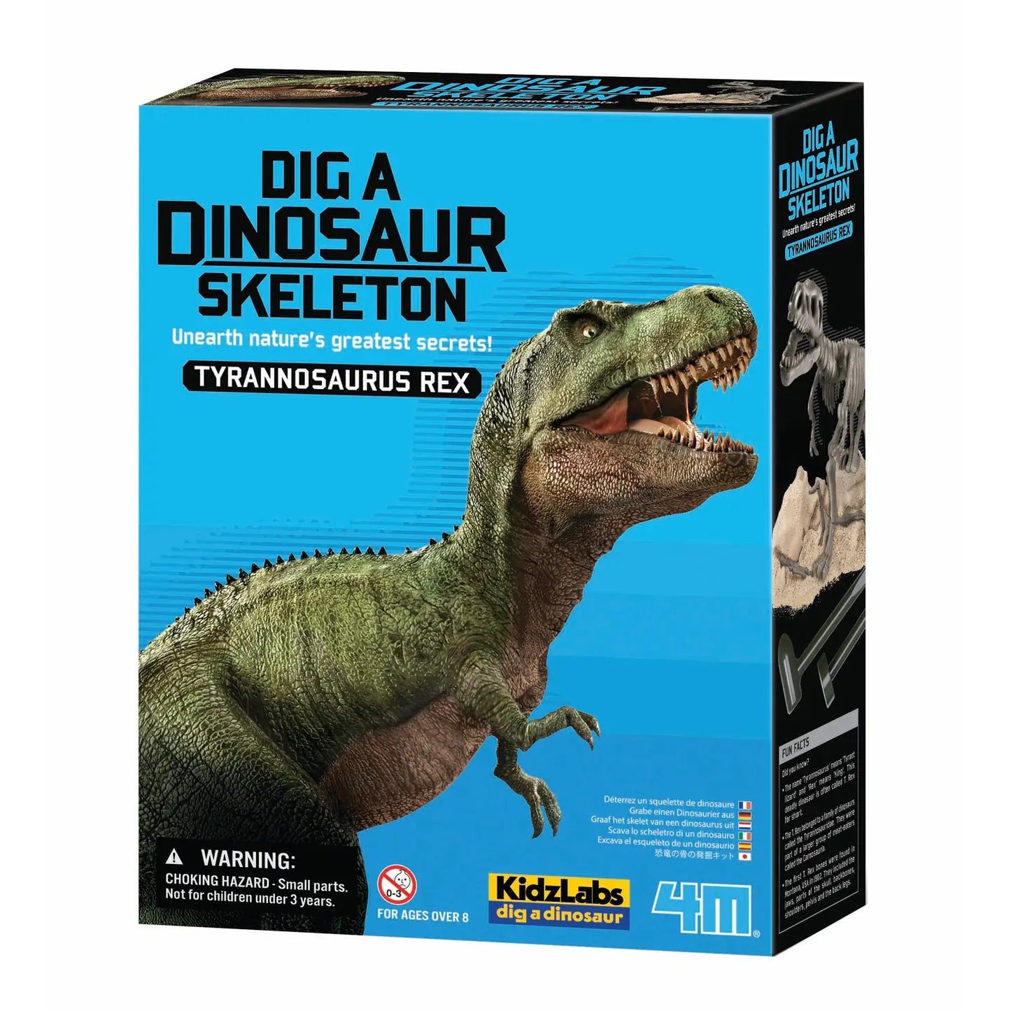 Dig-A-Dino T-Rex Stem Science Kit