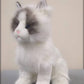 Plush Cat- Ragdoll Kitten Plush Animal