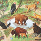 California Trail at Oakland Zoo
