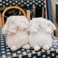Wee Ittybit Bunny