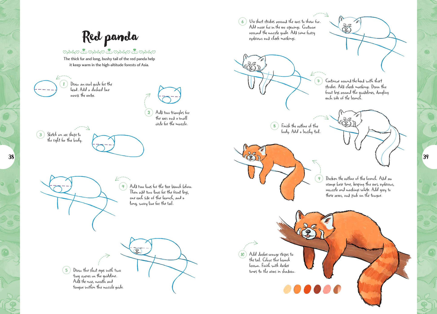10 Step Drawing: Cute Animals