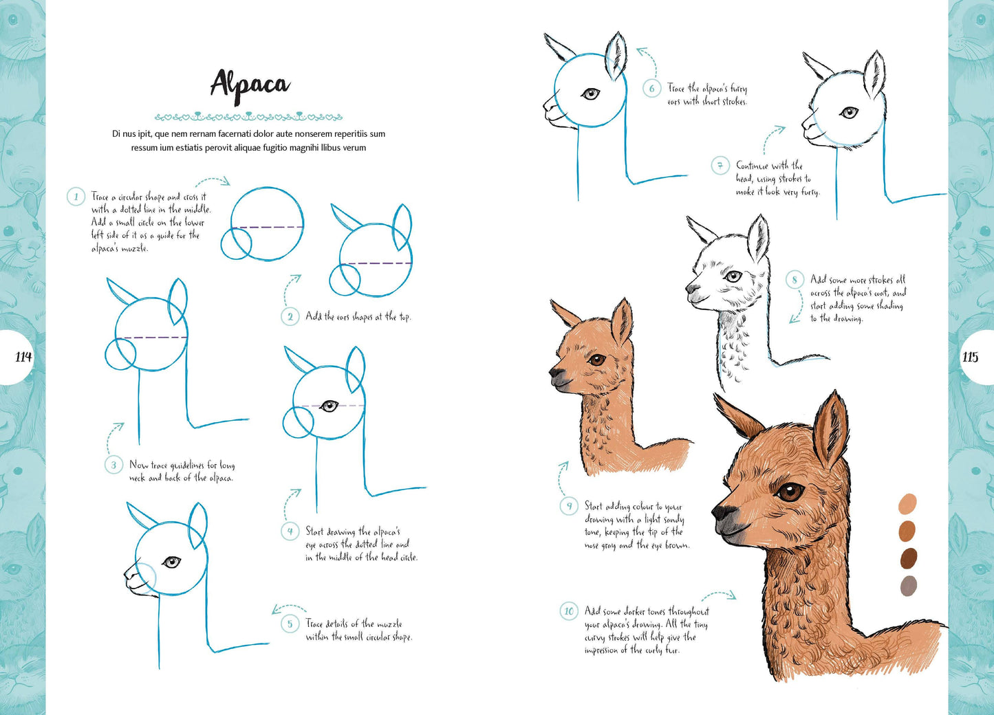 10 Step Drawing: Cute Animals