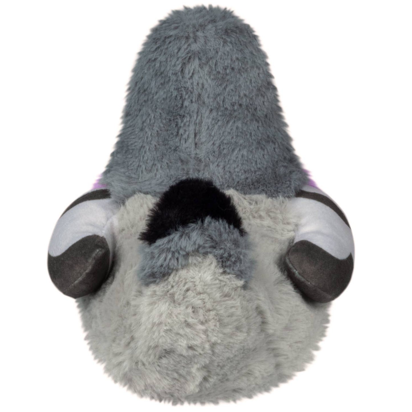Snacker Pigeon